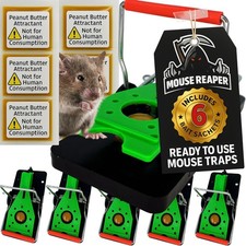 Mouse Trap, 6 Pack Heavy Duty