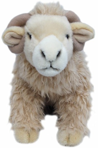 Whiteface sheep teddy - *,
