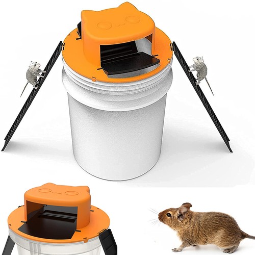 Mouse trap bucket lid - mouse,