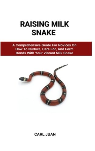 Raising milk snake - snake, a