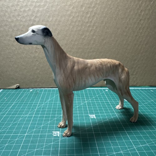 North light greyhound - north,