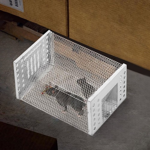 Small rat trap mouse - small, catcher