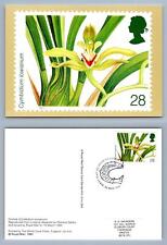 Cymbidium Lowianum / Orchids -