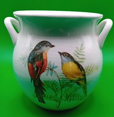 Portmeirion birds britain - of,