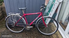 Raleigh 120 Pioneer Hybrid