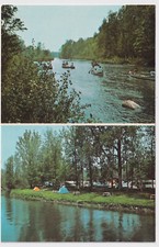 MICHIGAN STERLING CEDAR