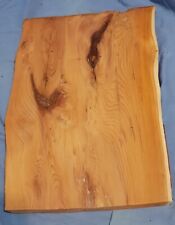 Rustic Yew Waney Edge 23mm Board/ Kiln Dried /Woodturning /River Table/ 1983