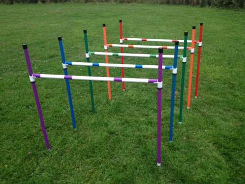 Dog agility large basic - agility,