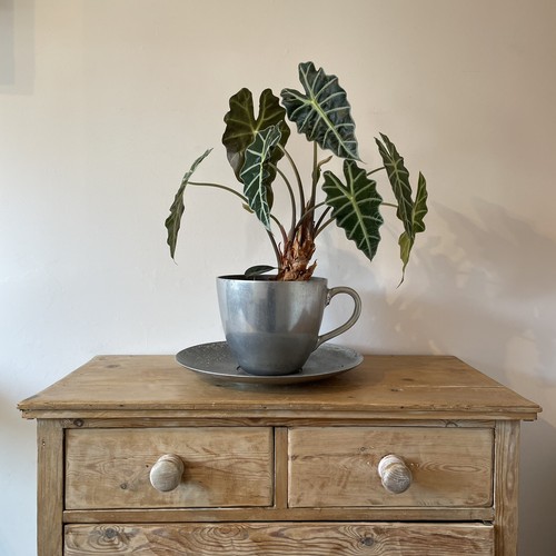 Vintage teacup modernist - vintage,