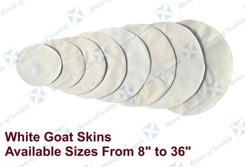 White goat skin - goat, heads