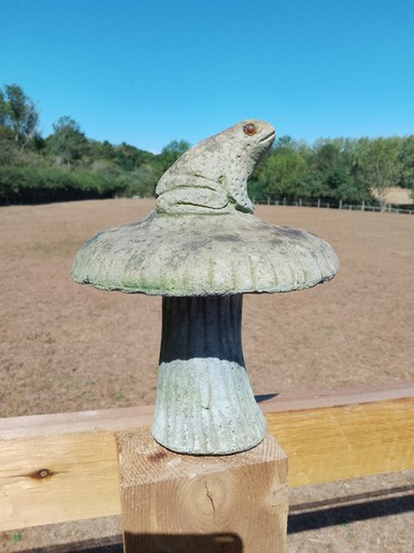 Old weathered cast stone - stone, frog