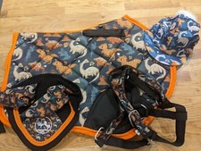 Matchy Haute to Trot