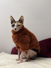 Sphynx cat soft teddy bear