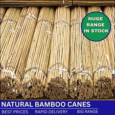 2FT 3FT 4FT 5FT 6FT 7FT Bamboo Canes Strong Thick Garden Plant Support Stick
