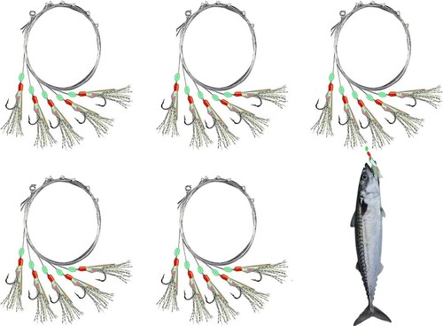 Voarge pack mackerel - voarge,