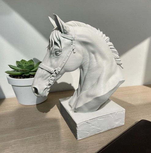 Elegant white horse head - elegant,