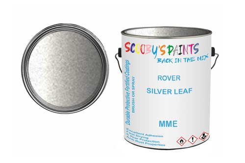 Classic paint for - classic,