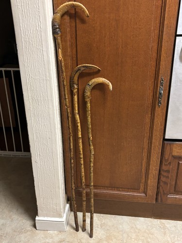 Three rams horn crook walking - three, crook/walking