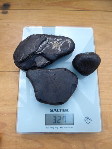 Unpolished natural whitby jet - natural,