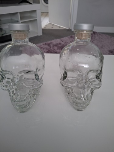 Crystal skulls pair - crystal,
