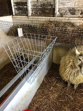hay hanging basket feeder hoop