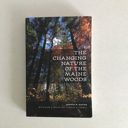 The changing nature - the, of