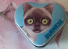 kitty club Sweetheart mini figure Kiwi (Burmese) Kitty in heart shaped box