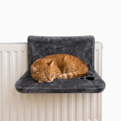 Cat kitten radiator bed - radiator, warm