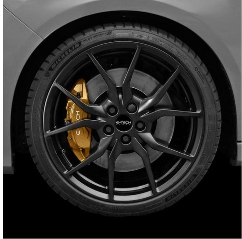 Gold brake caliper paint - brake,