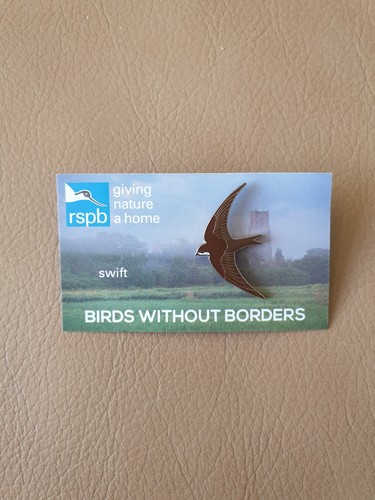 Rspb swift enamel pin - swift, badge