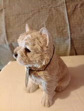West Highland White Terrier