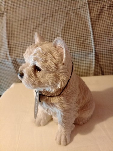 West highland white terrier - highland,
