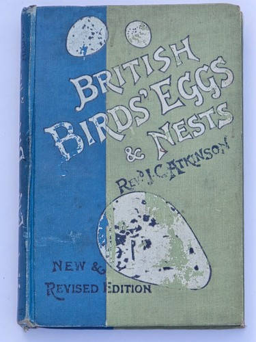 C1910 british birds eggs - eggs, &