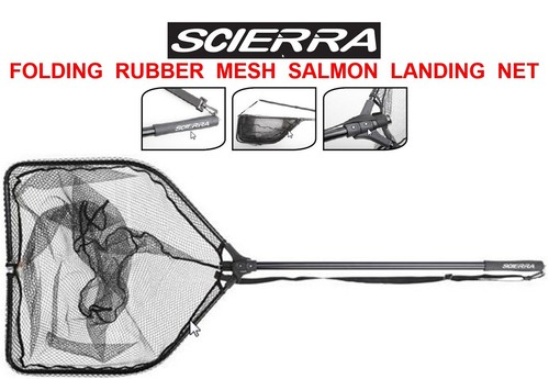 Clearance scierra large salmon - scierra,
