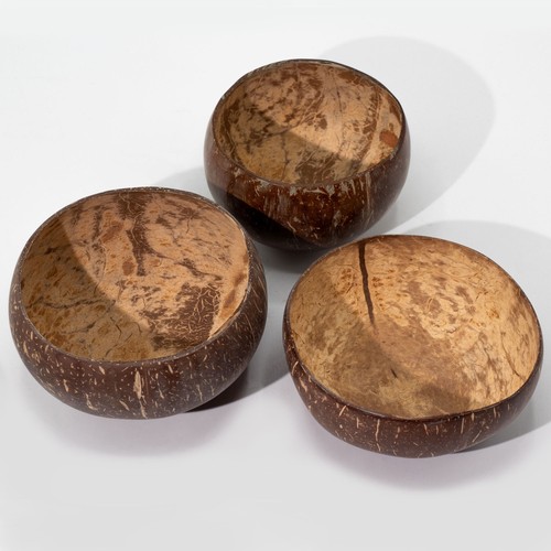 Natural coconut bowls handmade - natural,