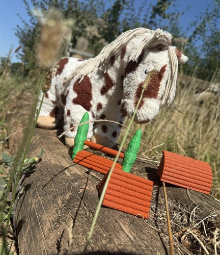 Toy cross country fences