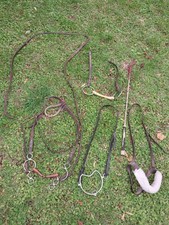 Vintage Horse riding equipment