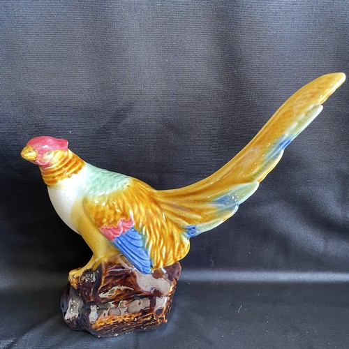 Vintage golden pheasant - vintage,