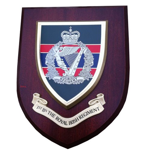1st the royal irish - the,