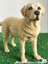 Standing Leonardo Golden Labrador ornament figurine decoration, Gift boxed