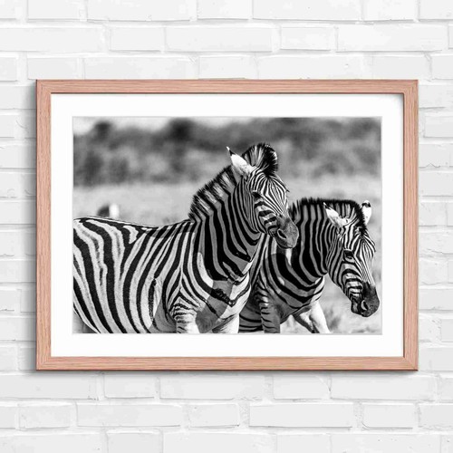 Bold zebra artistry portrait - bold,
