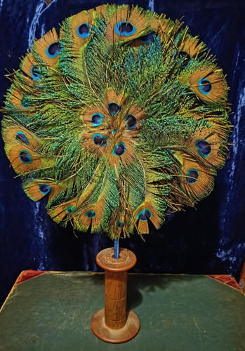 Vintage peacock feather hand - feather,