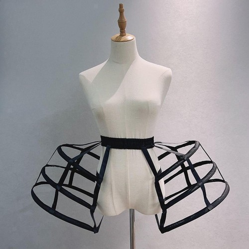 Hoop skirt petticoat - skirt,