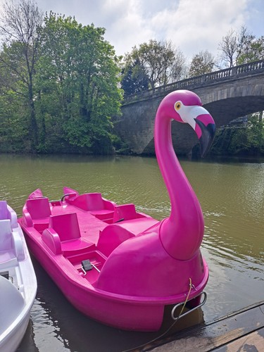 Flamingo pedalo pedal - boat, for