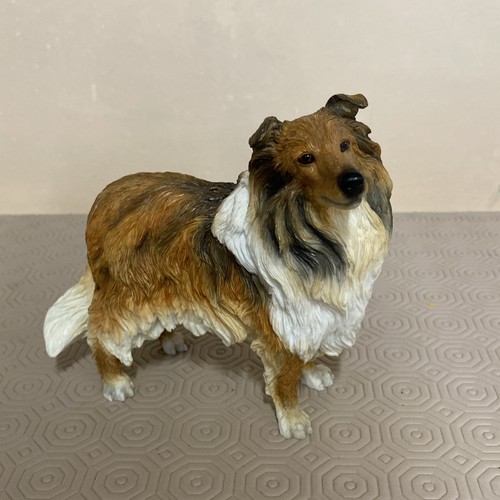 Rough collie lassie dog - rough,
