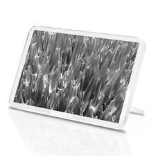 Metallic Mercury Classic