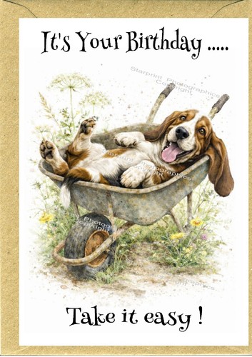 Basset hound dog - birthday, card