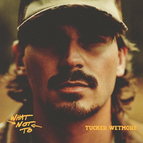 Tucker wetmore what not - tucker, to