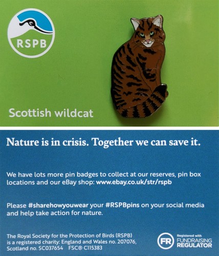 Rspb pin badge niic - niic, scottish