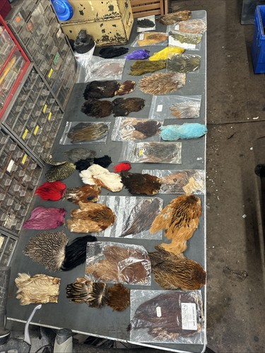 Joblot various colours capes - joblot,